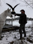 Sha Tamor, Heinrich und Tex